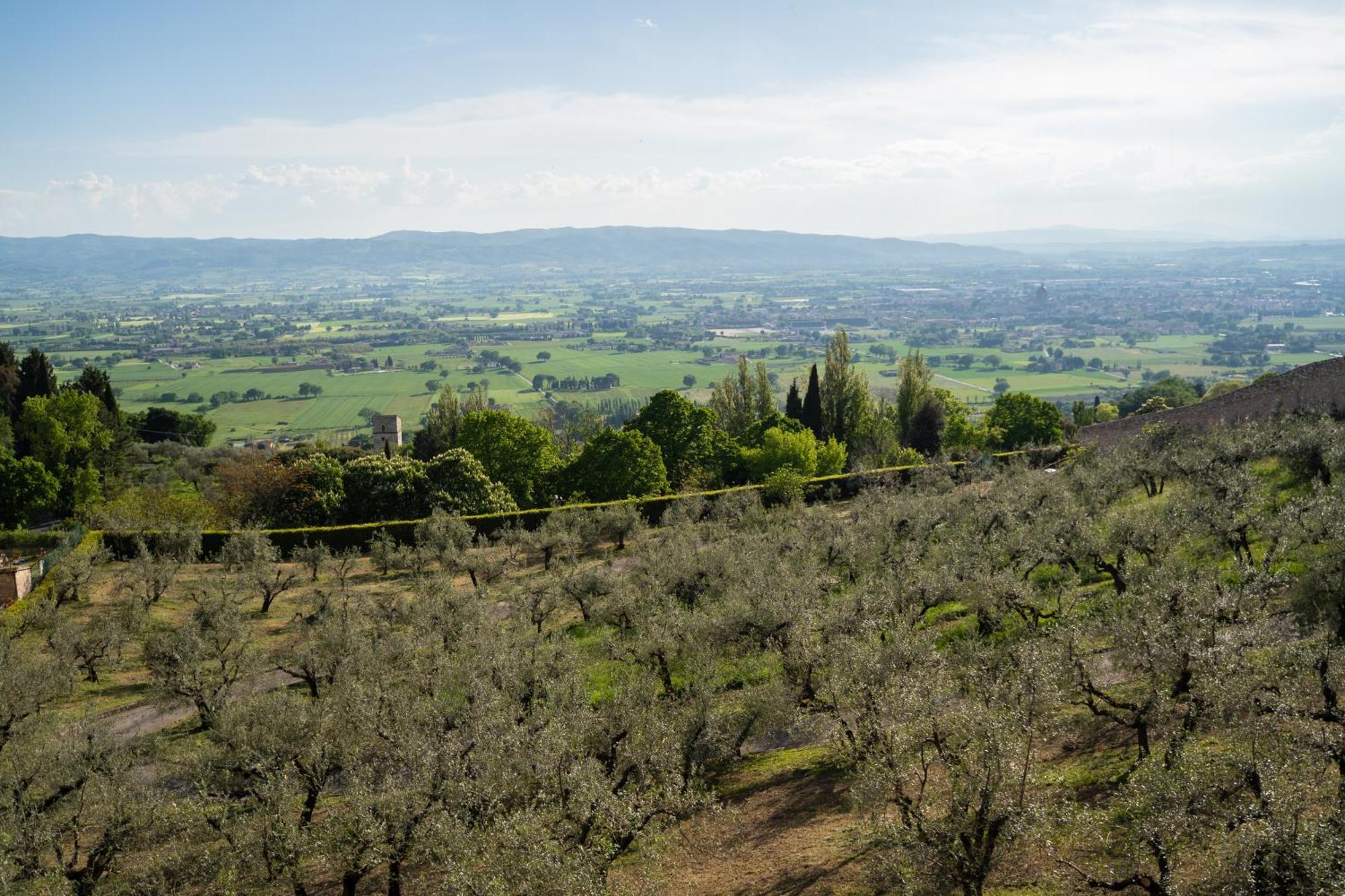 Hotel Belvedere Assisi Exterior photo